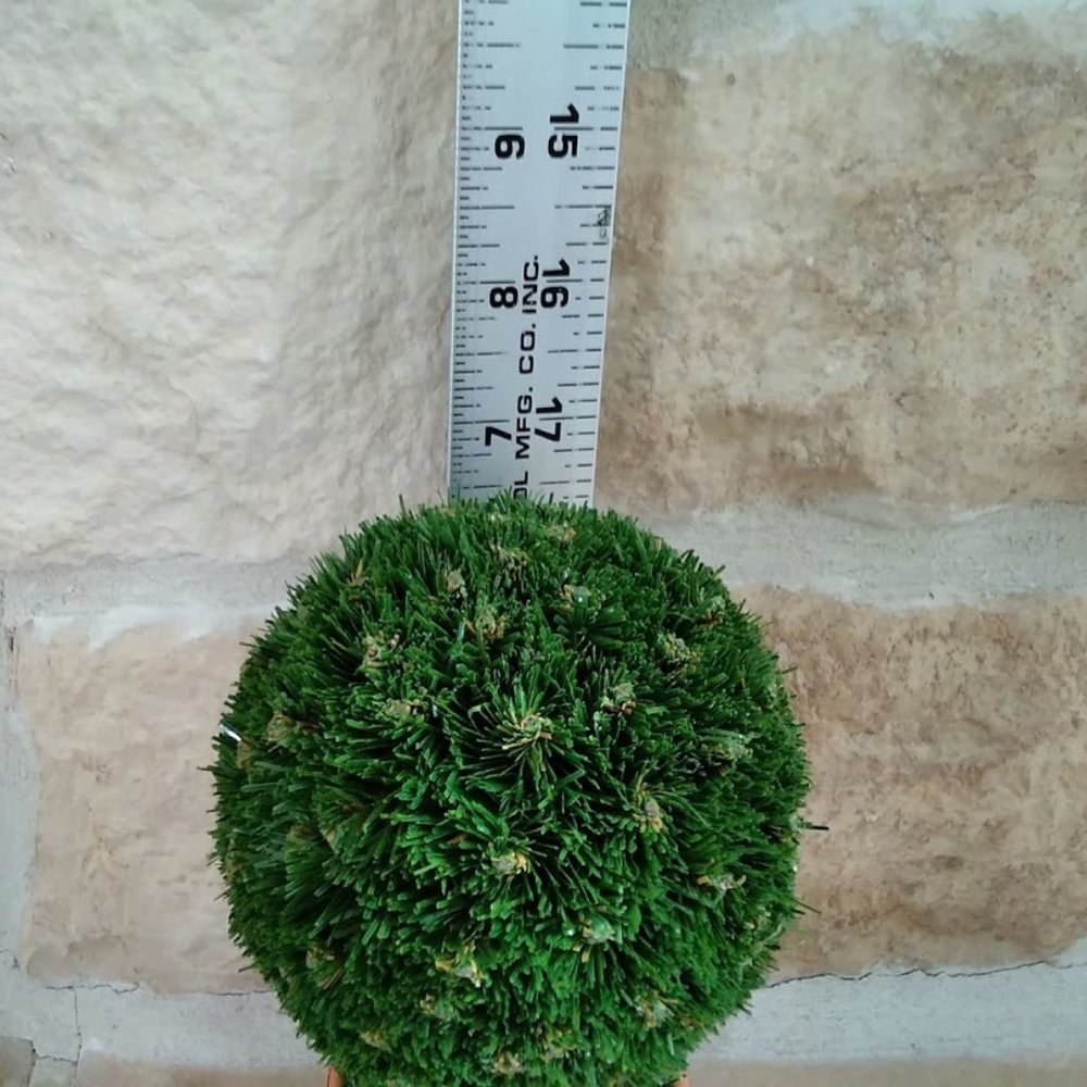 Mini Ball Topiary - Picture 2 of 3